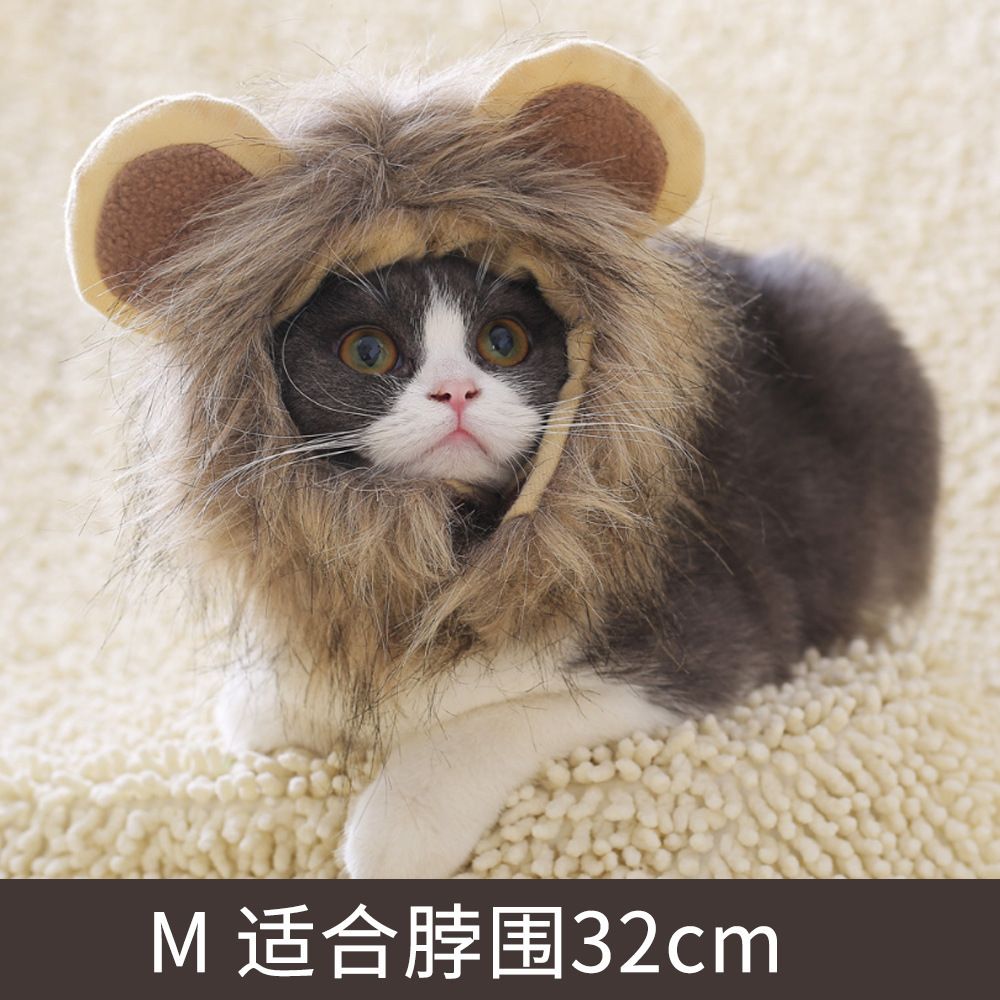 หมวกแมวลายหมีน่ารัก | หมวกสัตว์เลี้ยงขนนุ่ม | หมวกแฟนซีสำหรับแมวและสุนัข | Pet Bear Hat ถ่ายรูปสุดคิวท์